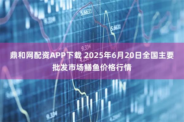 鼎和网配资APP下载 2025年6月20日全国主要批发市场鳝鱼价格行情