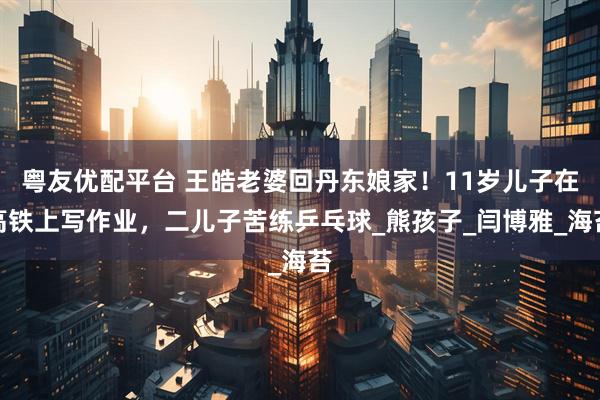 粤友优配平台 王皓老婆回丹东娘家！11岁儿子在高铁上写作业，二儿子苦练乒乓球_熊孩子_闫博雅_海苔