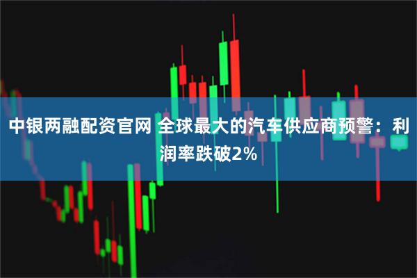 中银两融配资官网 全球最大的汽车供应商预警：利润率跌破2%