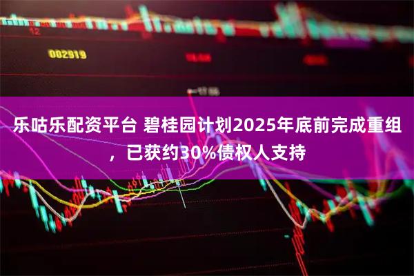 乐咕乐配资平台 碧桂园计划2025年底前完成重组，已获约30%债权人支持