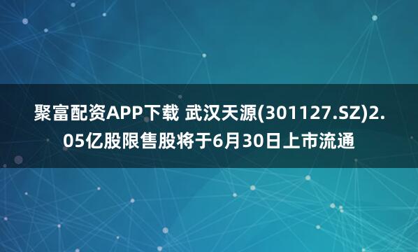 聚富配资APP下载 武汉天源(301127.SZ)2.05亿股限售股将于6月30日上市流通