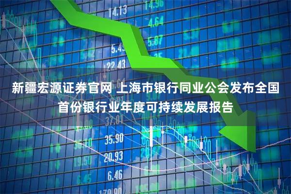 新疆宏源证券官网 上海市银行同业公会发布全国首份银行业年度可持续发展报告